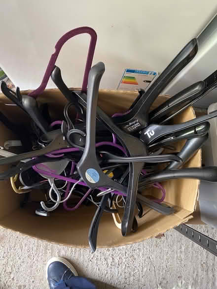 Photo of free Box plastic coat hangers (not metal) (Tivoli GL50) #2