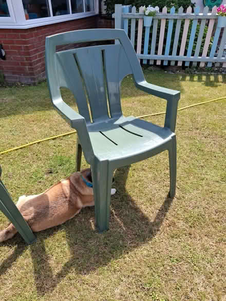 Photo of free 6 x stackable garden chairs (CO13) #2