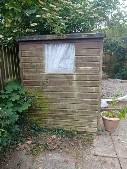 Photo of free Garden Shed (Dunde dd4 8ty) #2