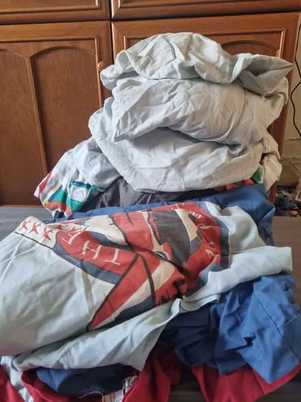 Photo of free Single bedding (Habberley DY11) #2