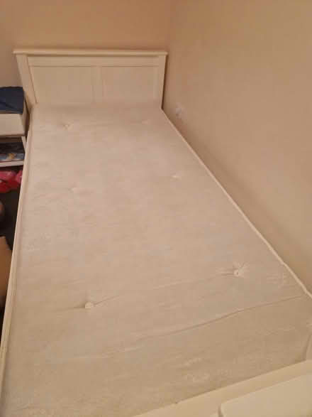 Photo of free X2 single mattresses (Stevenage SG2) #1