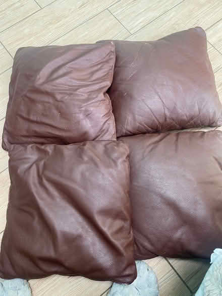 Photo of free 4 leather cushions (Coulsdon) #1