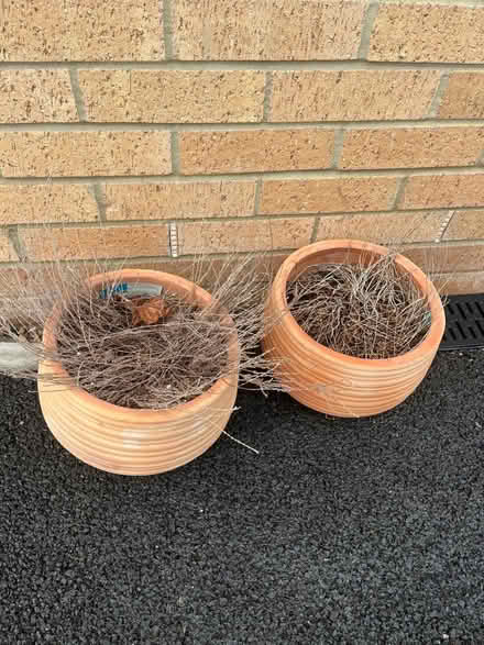 Photo of free 2 x plant pots (Mold CH7) #1