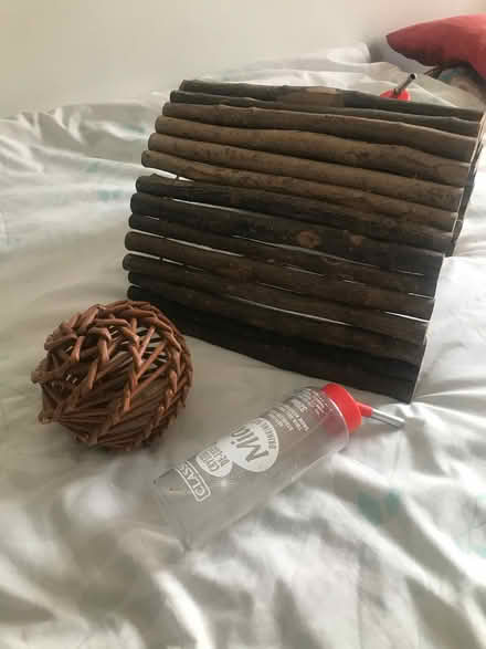Photo of free Guinea pig shelter, chew ball and 2 water bottles (Arnside LA5) #2