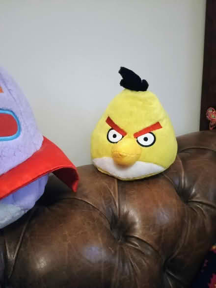 Photo of free Angry birds soft toys (Devon Park) #2