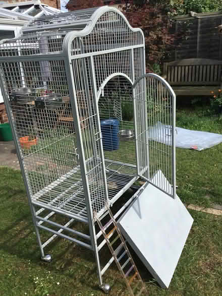 Photo of free Parrot cage (Hockley SS5) #1