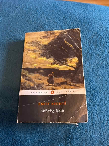 Photo of free emily bronte wuthering heights (SK1, central stockport) #1