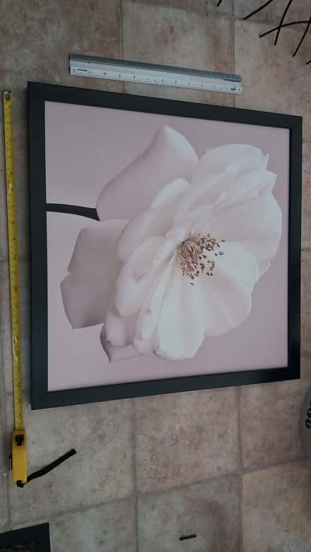 Photo of free picture, flower, 50x50cm (Crosspool S10) #1