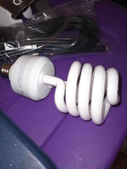 Photo of free 3 way CFL LIGHT (Maple ave.) #2