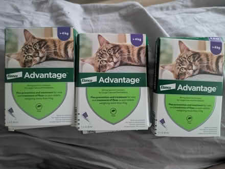 Photo of free Spot on treatment for cats 4kg + (Miles platting M40) #1