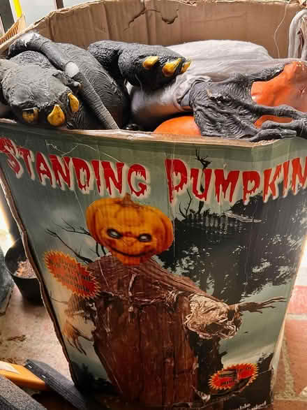 Photo of free Halloween Galore (Simi Near Tapo Street and 118) #1