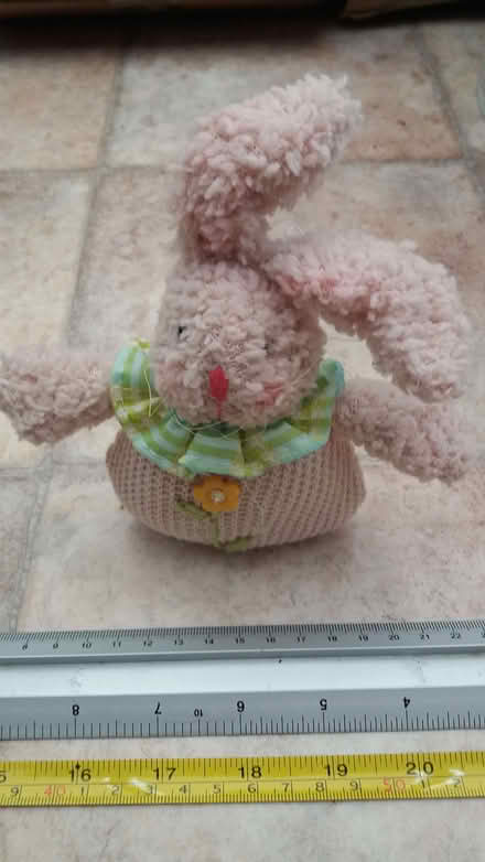 Photo of free bunny (Crosspool S10) #1