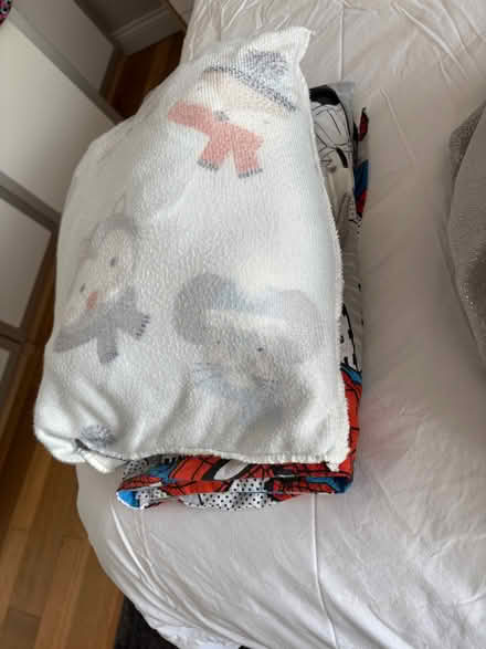 Photo of free quilt covers (Arnold NG5) #1