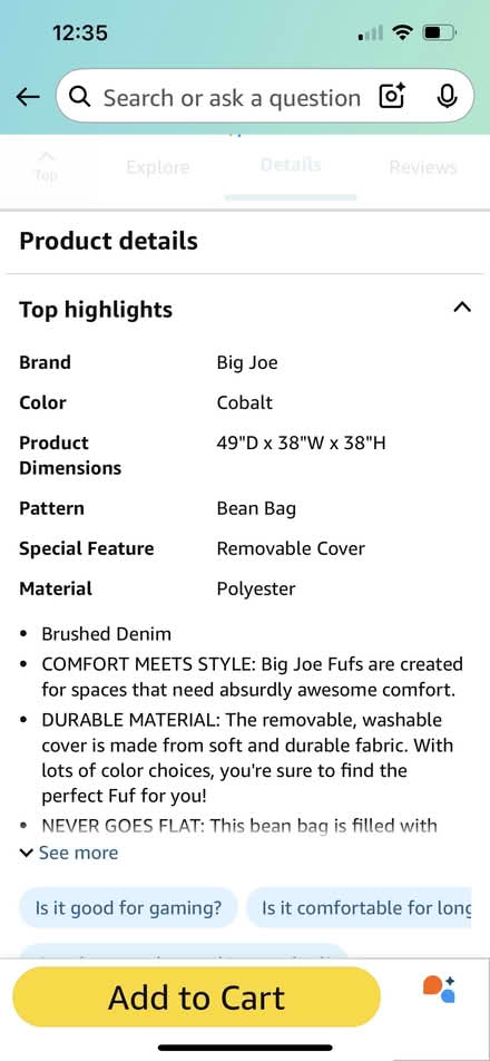 Photo of free 2 Big Joe Bean Bags (Capitol Hill/Kingman Park) #1