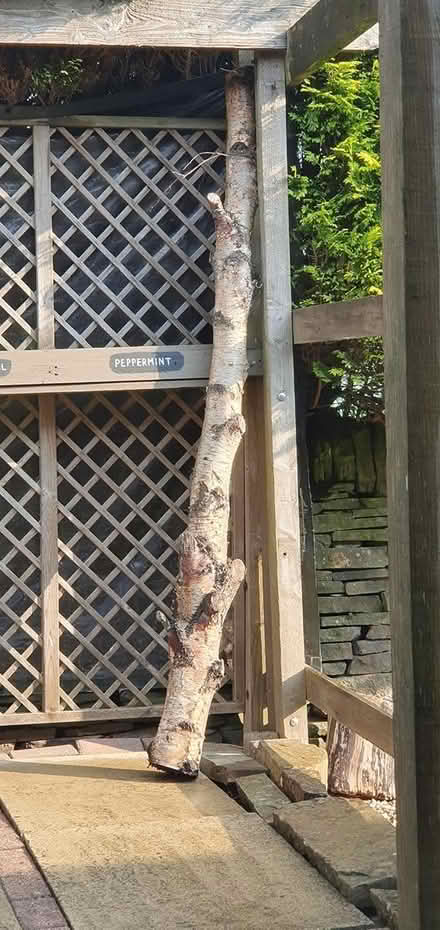 Photo of free Wood - BD13 (Queensbury BD13 off Roper Lane) #2