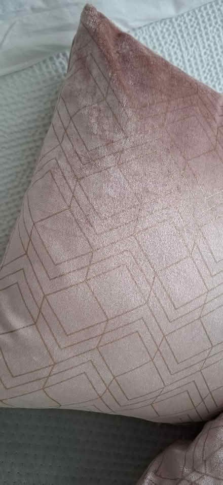 Photo of free 2 x pink cushions (Boughton Monchelsea ME17) #2