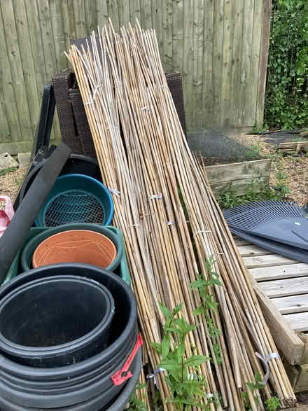 Photo of free Garden bits n bobs (Northchurch) #3