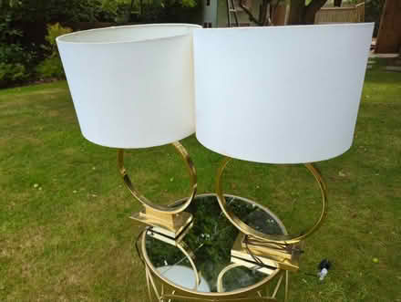 Photo of free Two gold lamps (Sarratt WD3) #1