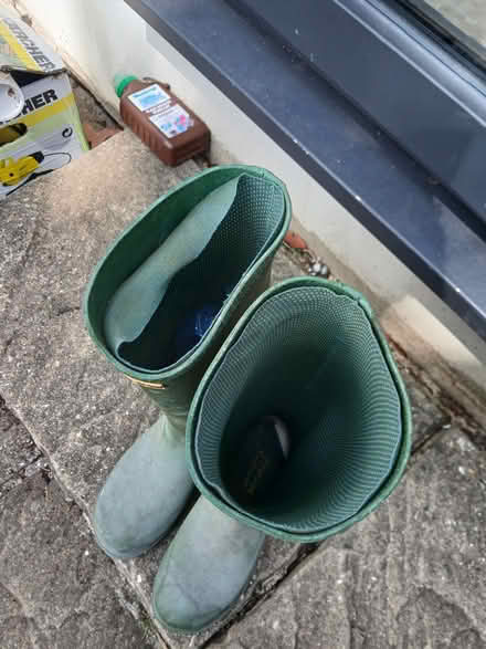 Photo of free Havanna wellies size 5 (Thornton heath) #3