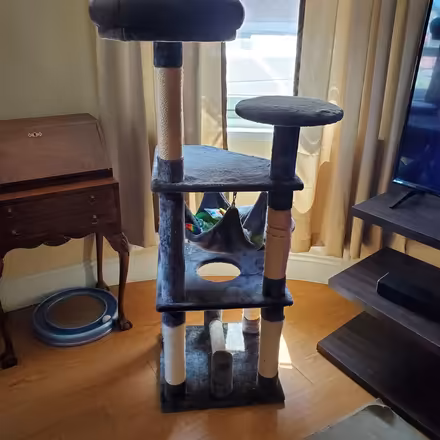 Photo of free Multi-level cat tree with hammock (Harvard Square) #2