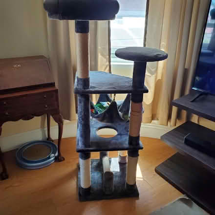 Photo of free Multi-level cat tree with hammock (Harvard Square) #2