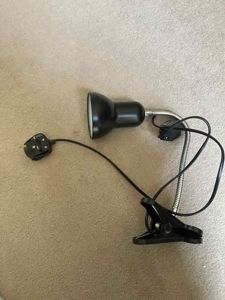 Photo of free Reptile heat lamp (Barnsbury Street, Islington N1) #1
