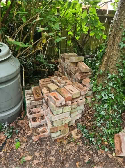 Photo of free Bricks (DA16) #2
