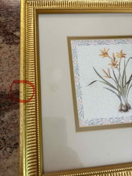 Photo of free Three decorative prints (Erin Mills&QEW) #2