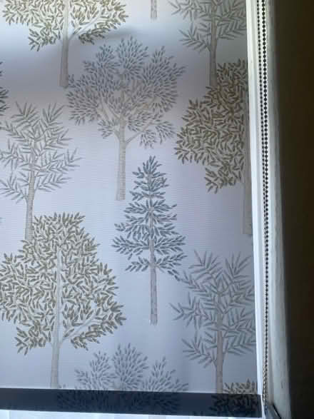 Photo of free Roller blind (Berwick Grange SY1) #1