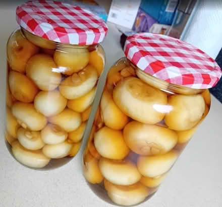 Photo of free 2 x Big Jars of Home Pickled Onions (Parkstone BH12) #1