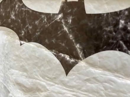 Photo of free Clean faded Batman shower curtain (Sunnyvale near Fremont H.S.) #3