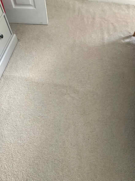 Photo of free bedroom carpets (TR13) #1