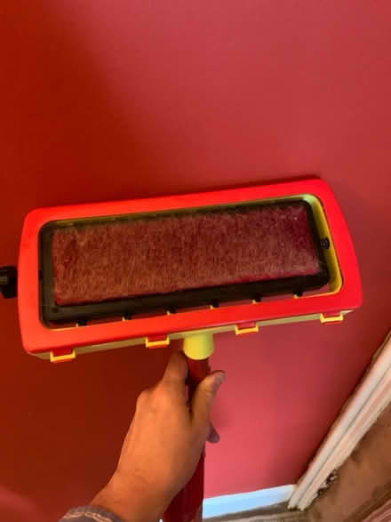 Photo of free Carpet brush (EH3) #3