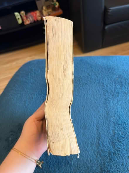 Photo of free emily bronte wuthering heights (SK1, central stockport) #2