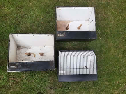 Photo of free Bird boxes × 3 (Crookesmoor S6) #1