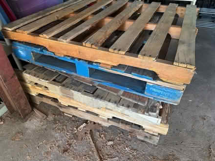 Photo of free 8 x Wood Pallets (Evansburg, near Collegeville) #2