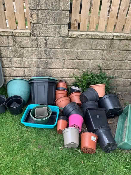 Photo of free Assortment plant pots (Halifax) #1