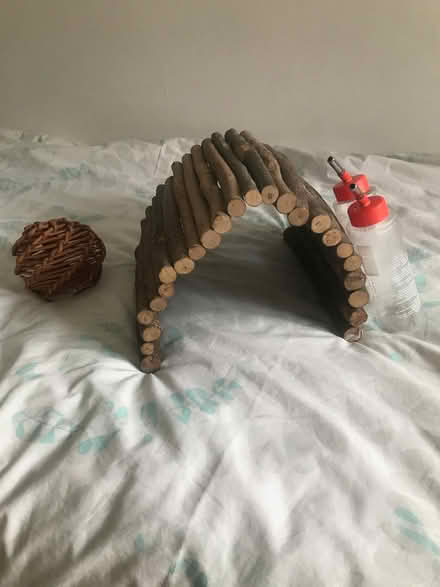 Photo of free Guinea pig shelter, chew ball and 2 water bottles (Arnside LA5) #1