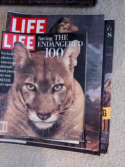 Photo of free Historical magazines (Columbus) #2