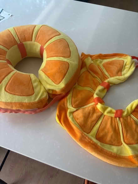 Photo of free Protective dog collar (Broomgrove TN34) #3