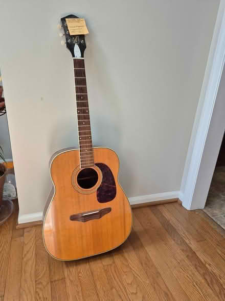 Photo of Guitar carrying case (Bowie) #1