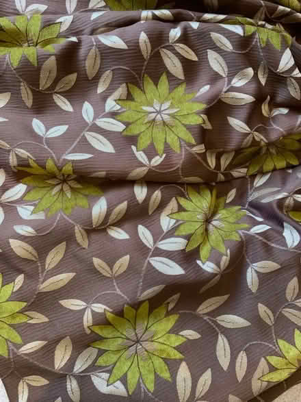 Photo of free Pair large curtains (Dorridge B93) #1