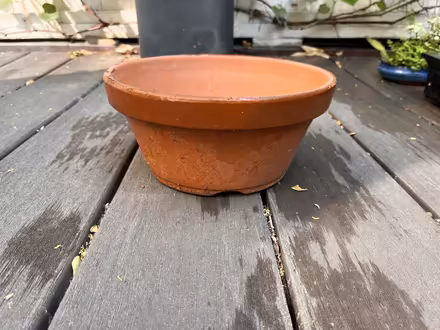 Photo of free Terracotta plant pot (Porter Square, Cambridge) #1