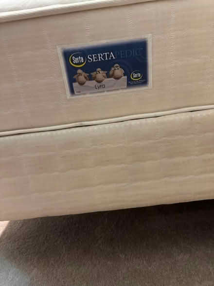 Photo of free Twin mattress and box spring (558 s. Frederick ave) #3