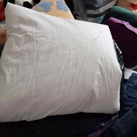 Photo of free Cushion insert (Kendal LA9) #1