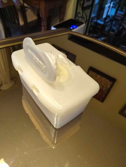 Photo of free Wet wipes & container (Old Barrhaven) #2