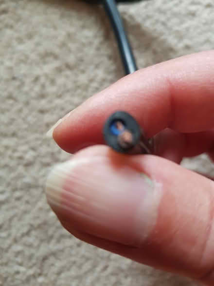 Photo of free Electric Wire with plug (North Abingdon, OX14) #2