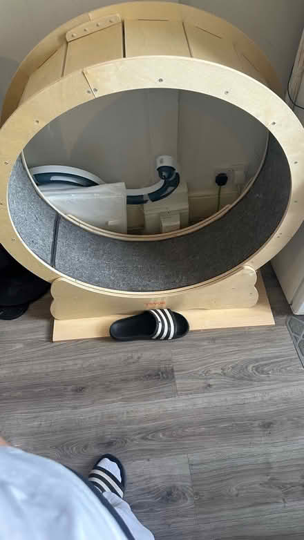 Photo of free Cat exercise wheel - large (Barons Court) #2