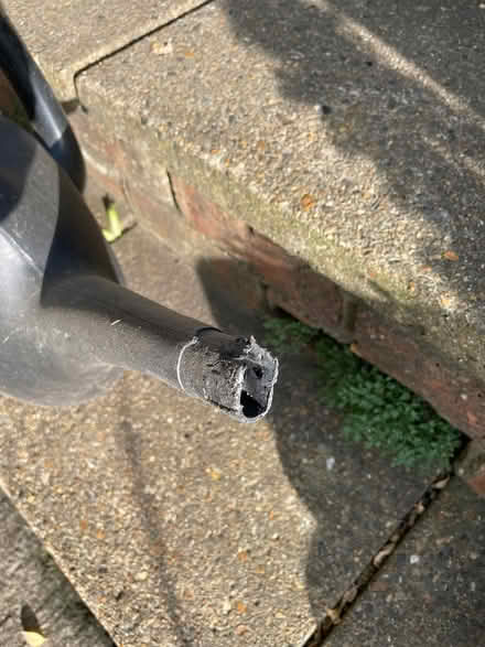 Photo of free Plastic water can (New Marston OX3) #1