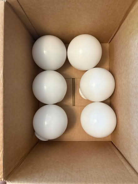 Photo of free Ceiling light (Junction) #2
